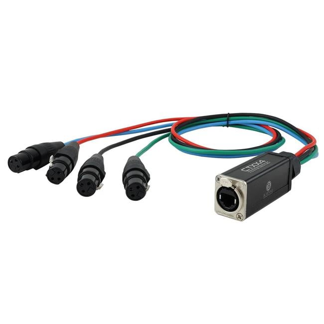 Blast King CTXX4 4ch Xlr Female To Cat6 Box Cable